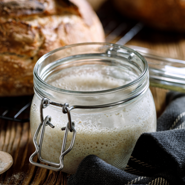 Sourdough Starter