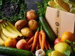 Seasonal Fruit & Vegetable Selection, Medium